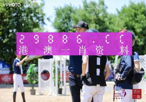 2023澳门准一肖一码一码，揭秘数字背后的真相与警示