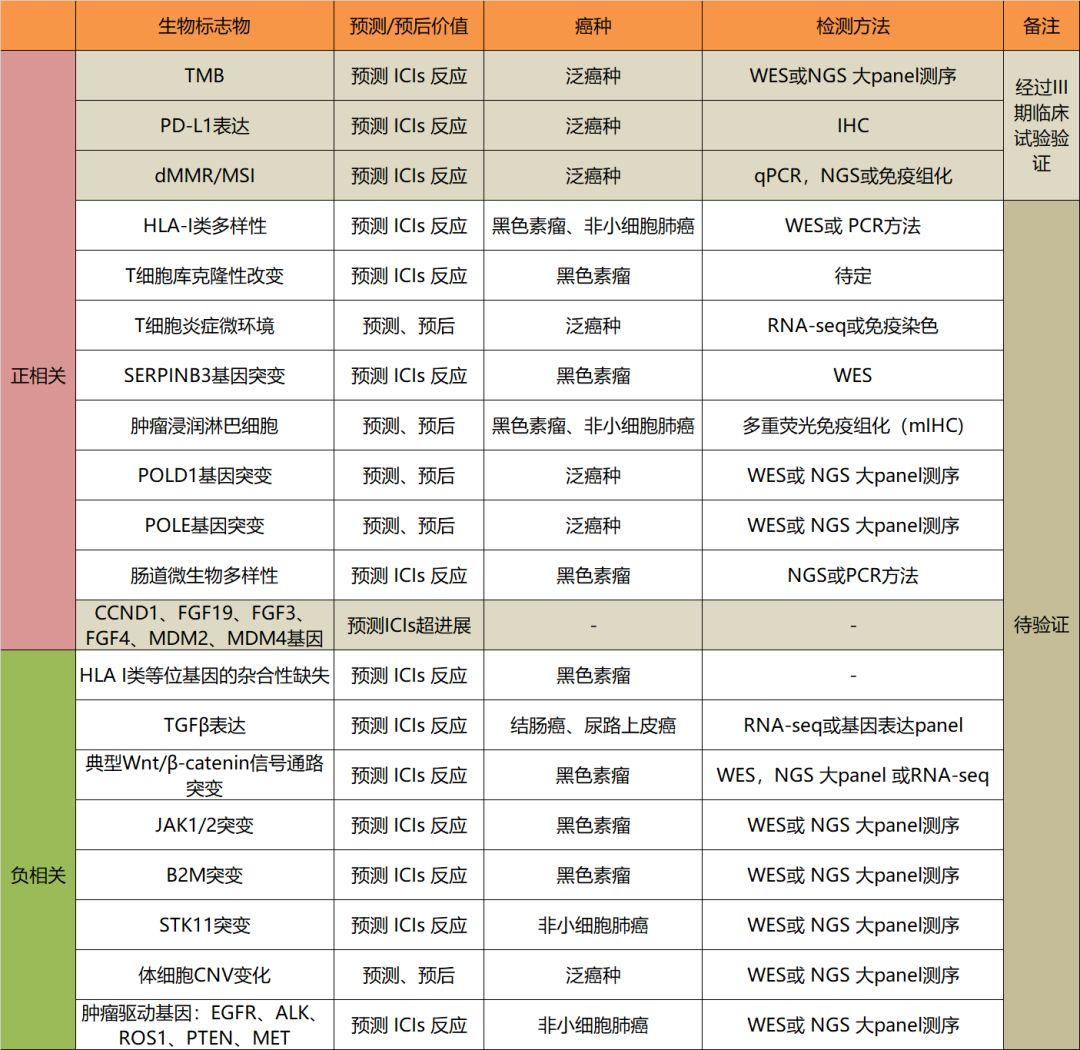 探索TMB-100，科技与创新的完美结合