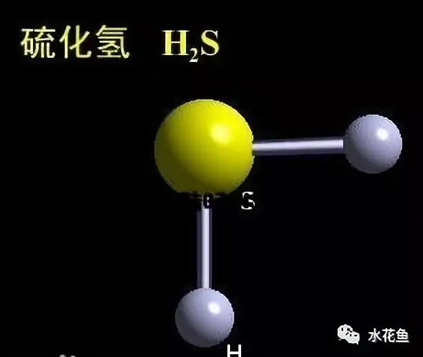 硫化氢的性质，从基础到应用的全面解析