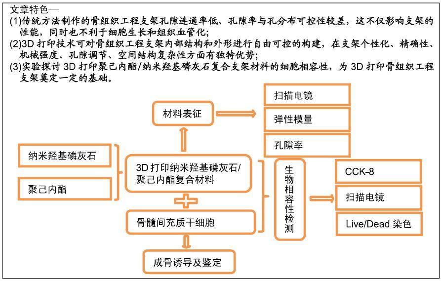 羟基磷灰石，从基础到应用的全面解析