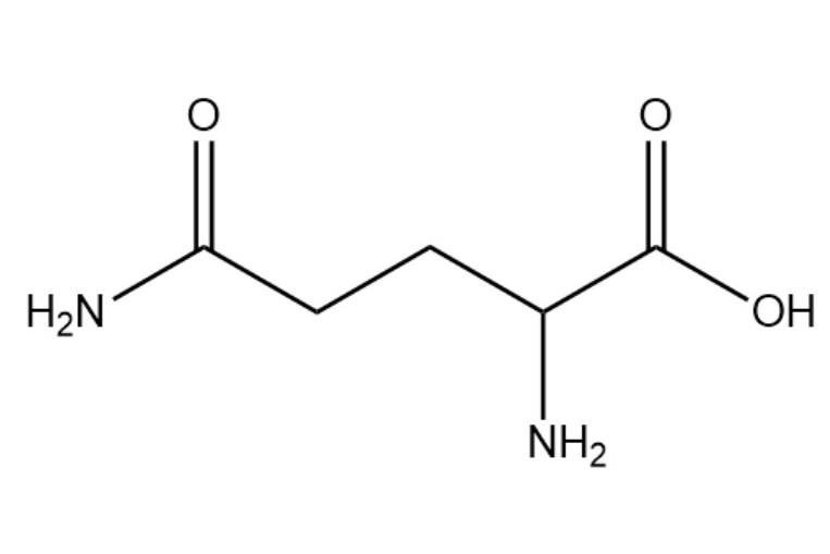 探索L-谷氨酰胺，营养与健康的奥秘