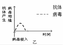 磷酸盐缓冲液，生物实验中的稳定大师