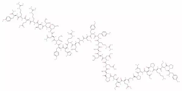 环二肽，自然界的奇妙分子与生物医学的潜力之星