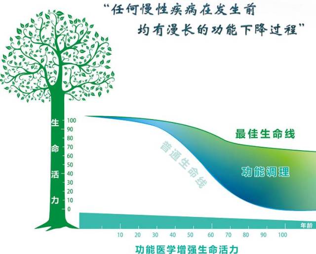 乳酸与TMP，探索其在生物医学与工业应用中的协同作用