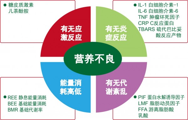 探索生物医学新纪元，内参抗体的奥秘与潜力