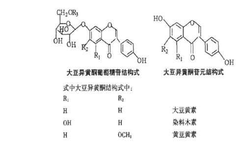 染料木素，自然界的植物雌激素与健康守护者