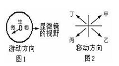 探索L15培养基，微生物学研究中的营养宝库