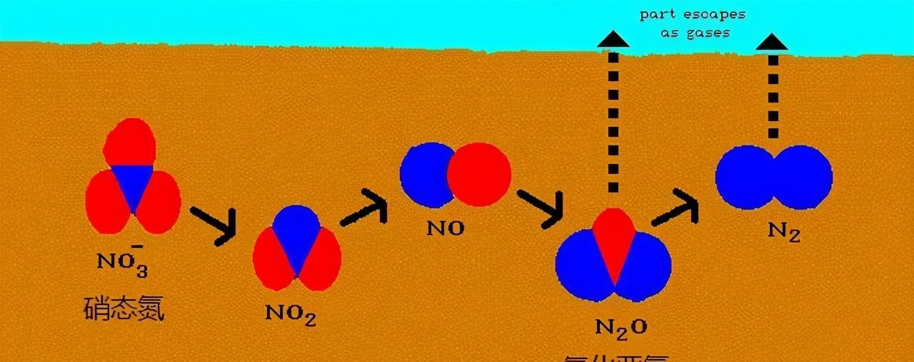 氮源，生命之基，工业之翼
