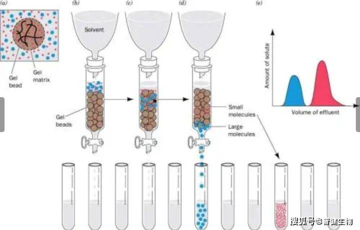 凝胶色谱柱，分离与分析的精细艺术