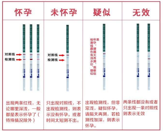 怀孕多少天试纸可以测出？——揭秘早孕检测的奥秘