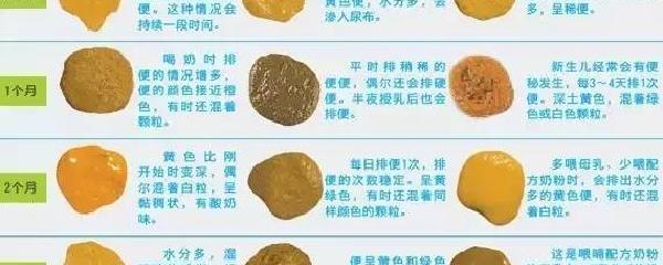 探索新生儿排便规律，一天几次大便算正常？