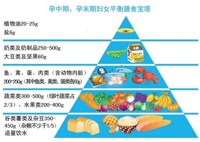 怀孕初期饮食指南，科学选择，为胎儿发育护航