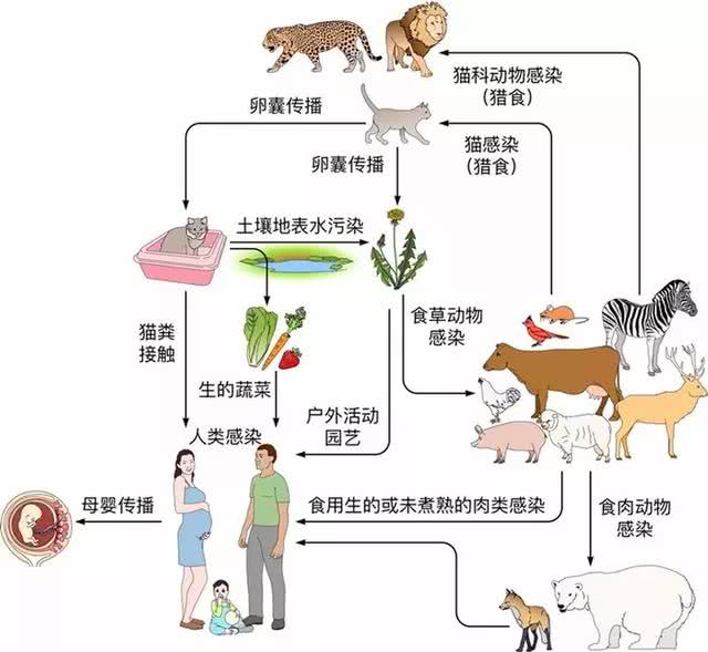 产品中心 第12页