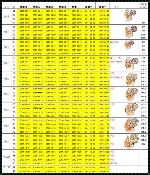 胎儿体重估测，科学预测与安心期待