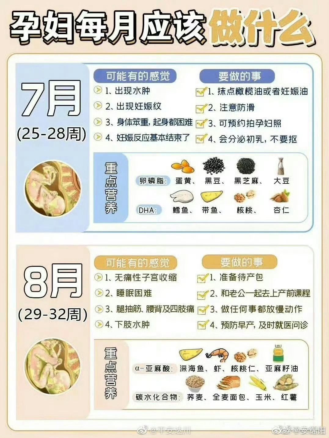 怀孕时是否会来月经，科学解析与女性健康指南