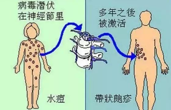 婴儿增强抵抗力的科学指南，从日常护理到营养支持