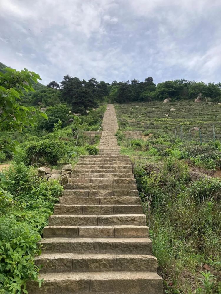 感觉自己中彩票前兆，一场心灵与现实的奇妙邂逅