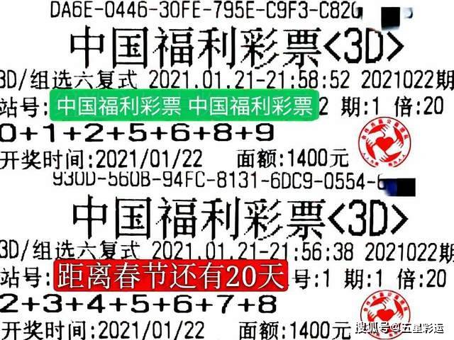 彩摘网与牛彩网，3D字谜与图谜总汇的探索之旅——佐罗的智慧指引