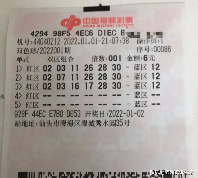 2043年，回顾与展望—香港六合彩的数字轨迹香港开奖开奖结果(246)开奖开奖结果