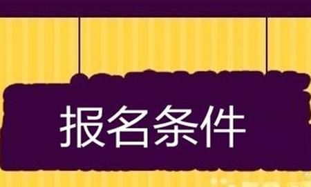 研究生报考条件与要求，全面解析与指导