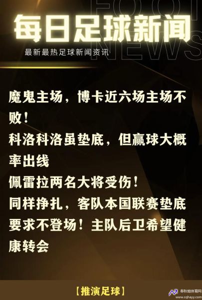 足球新视界，新浪体育的深度解读与最新动态