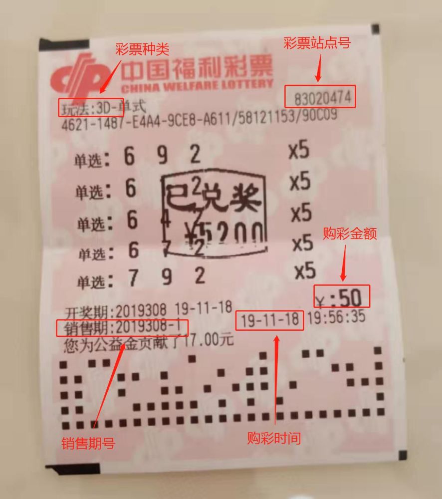 2046年香港马会今期开奖号码揭秘，一场数字与运气的奇妙邃游2024香港今期开奖号码马会53期