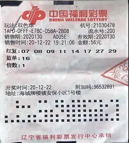 2006年双色球基本走势图，揭秘彩票市场的神秘面纱