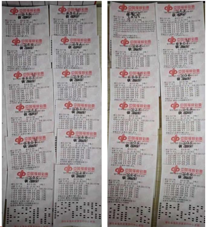 七乐彩胆拖玩法与奖金计算器，解锁彩票新体验
