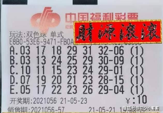 管家婆203，正版资料图片的全面解析与使用指南2021年管家婆彩图大全