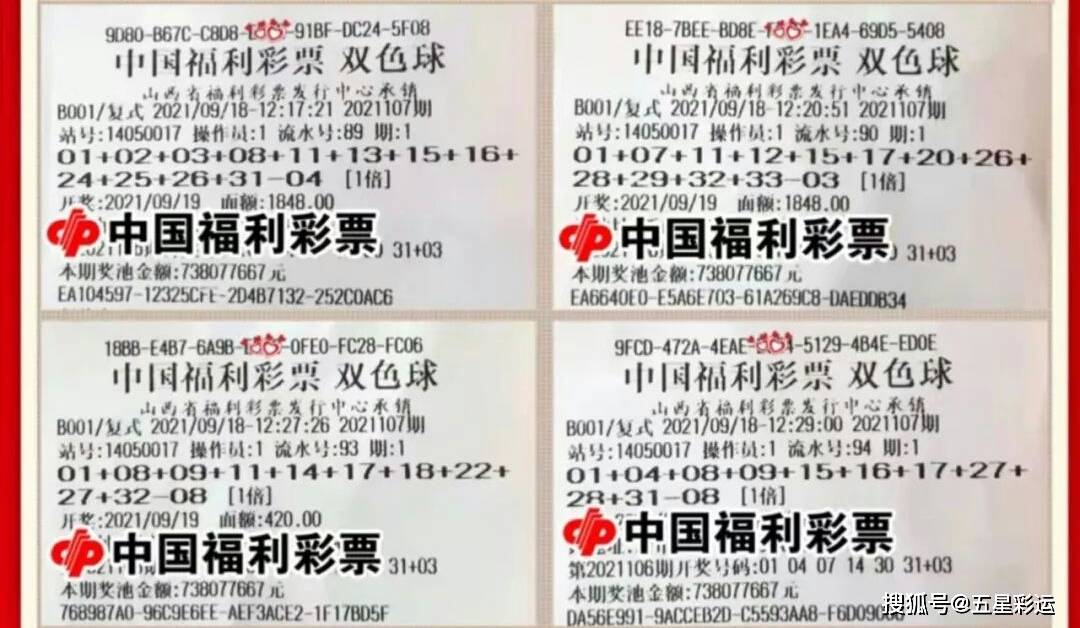 双色球53期开奖揭秘，数字背后的幸运与期待