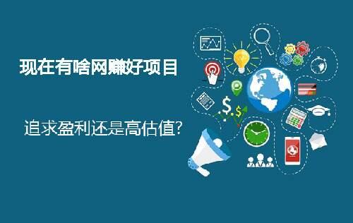 赚钱新风尚，探索热门赚钱平台的机遇与挑战