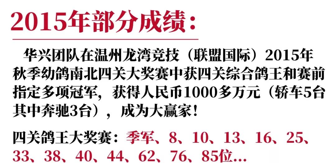 探秘三点水加金的姓氏奥秘，揭秘沈姓的独特魅力