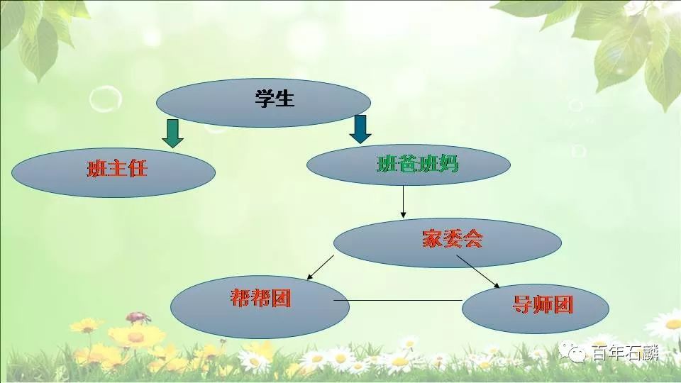 揭秘二四六免费每期资料背后的玄机图，理性与智慧的碰撞