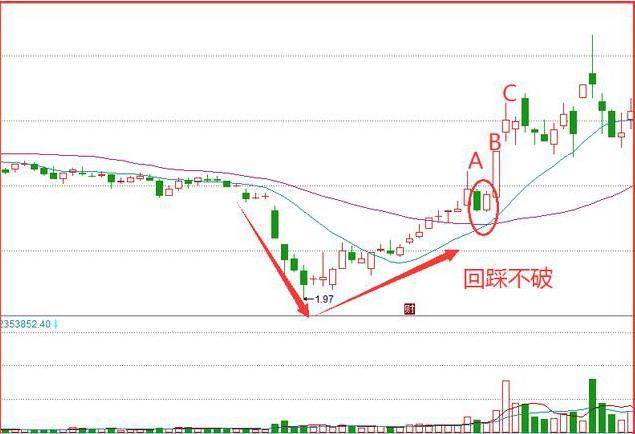 2022年双色球50期开奖结果深度分析与走势图解读