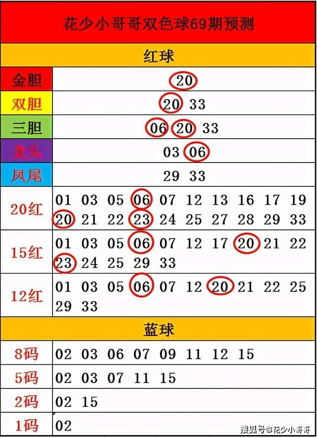 2023年双色球第065期开奖结果深度解析与查询指南