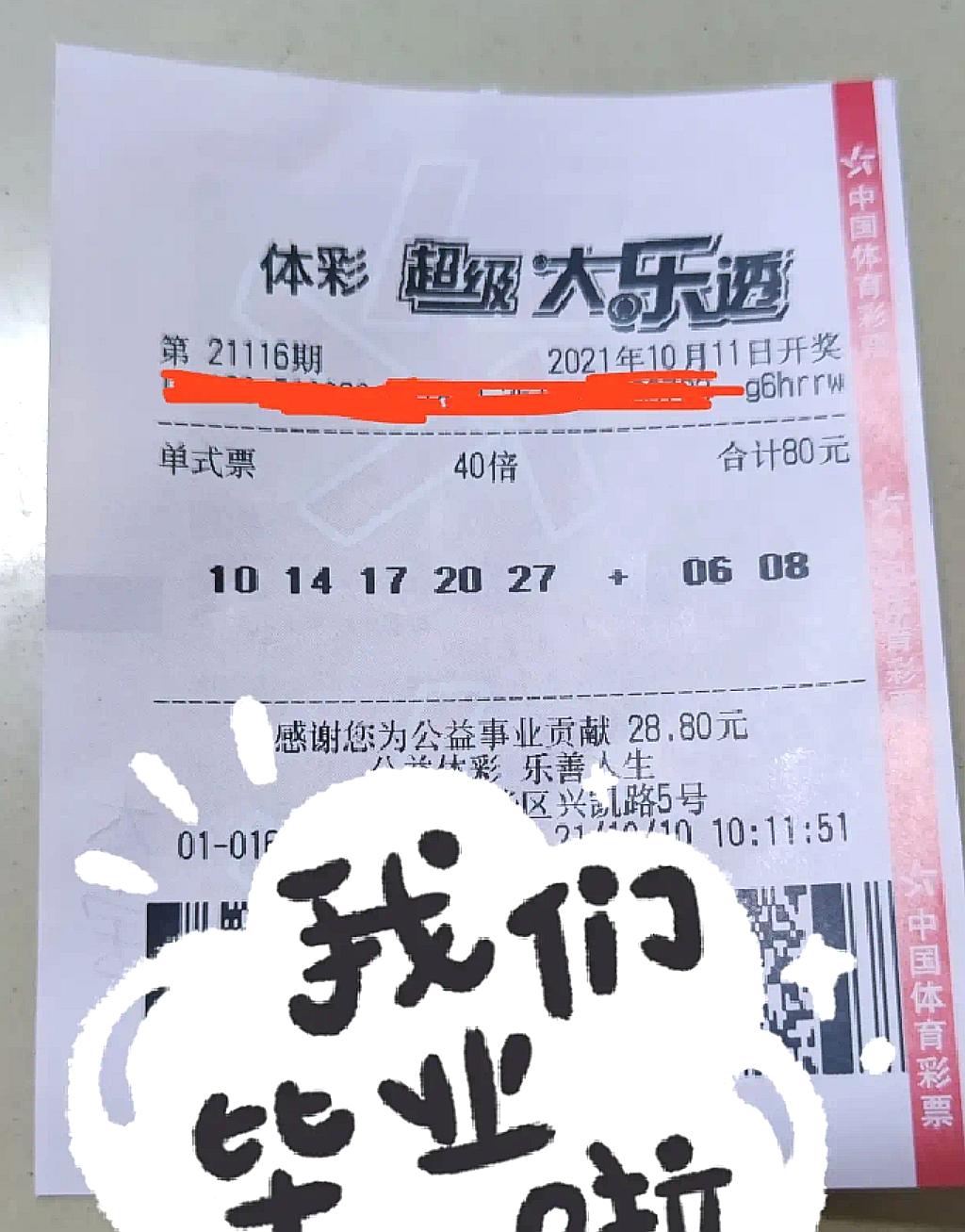 浙江风采双色球走势图，简明版解析与投注策略