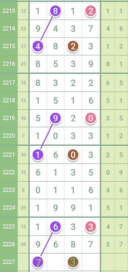 复核员 第239页