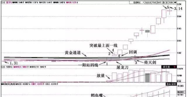 排列五守号必中的奥秘，理性与坚持的完美结合