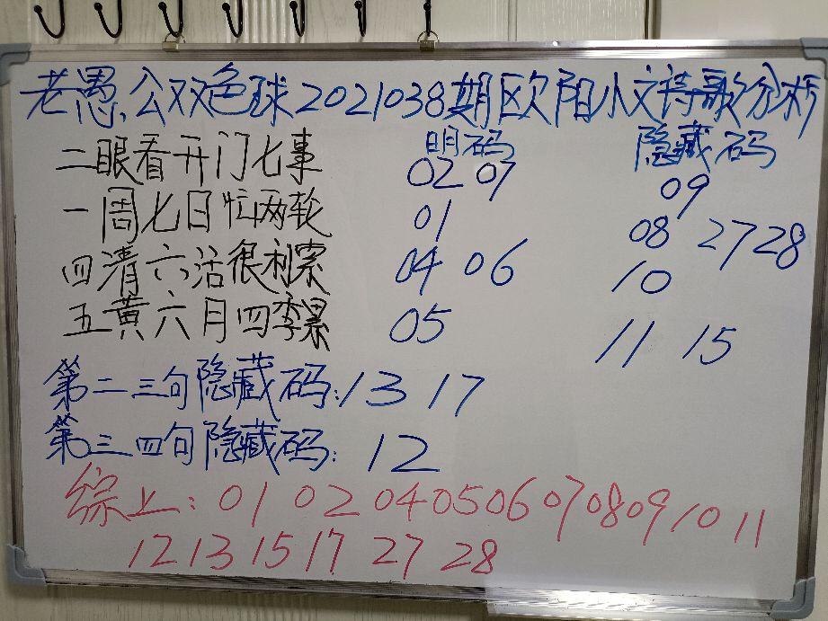 2021038期双色球历史同期开奖结果深度解析，回顾与展望