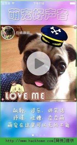 IG 第230页