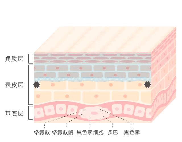 白小姐今期一肖中特—揭秘生肖预测的奥秘与理性思考白小姐期期中特一肖