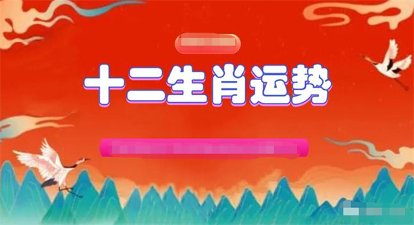 澳门一码精准计划，揭秘酷知经验网背后的策略与技巧2025年一肖一码一中一特