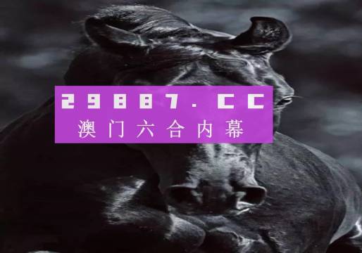 澳门彩，历史开奖记录的深度剖析新澳门彩历史开奖记录查询结果