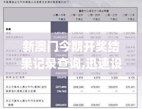 探索新奥全部开奖记录，透明、公正与科技的完美结合新澳历史开奖记录查询结果
