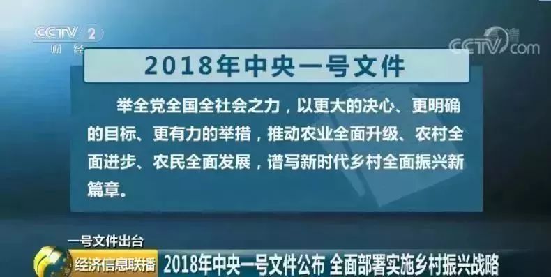 河北12530，数字时代的乡村振兴新引擎河北12580怎么打