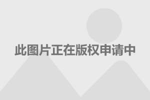 澳门新历史，近期十五期开奖结果深度剖析新澳门历史开奖结果近期十五期查询