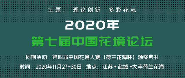 探索未来，双彩论谈—科技与艺术的融合之路双彩论坛3d字谜解17500