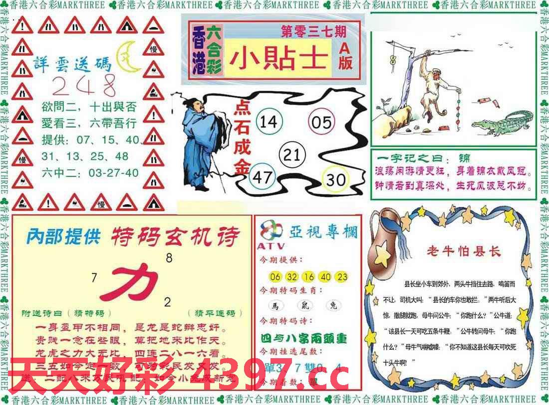 揭秘二四六天天玄机资料308，一场数字背后的奇幻之旅二四六天天玄机资料308k文字资料