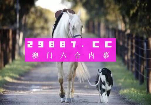 澳门49彩库免费资料，揭秘与风险并存的数字游戏49tk澳门彩库资料上