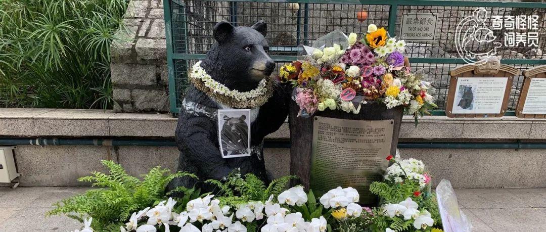 澳门历史开奖结果记录，一段融合东西方文化的独特旅程澳门历史开奖结果记录查询表